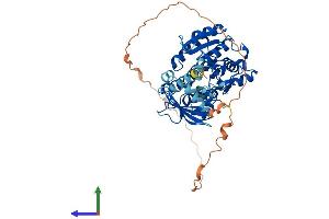 Protein Structure (PS) image for Hydroxysteroid Dehydrogenase Like 2 (HSDL2) (AA 1-490) protein (His tag) (ABIN7557011)