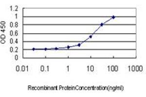 Detection limit for recombinant GST tagged GREM1 is approximately 0. (GREM1 Antikörper  (AA 75-184))