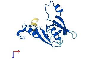 UFSP1 Protein (AA 1-142) (His tag)