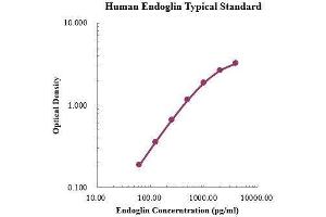 ELISA image for Endoglin (ENG) ELISA Kit (ABIN3198424)