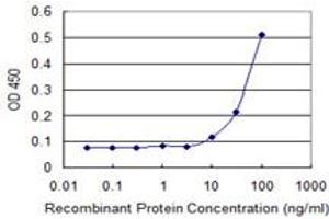 Detection limit for recombinant GST tagged RECQL is 3 ng/ml as a capture antibody. (RecQ Protein-Like (DNA Helicase Q1-Like) (RECQL) (AA 549-648) Antikörper)