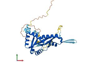 AlphaFold protein structure predicition of Human Recombinant C21orf140 Protein, UniprotID B9A014