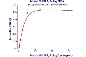 Immobilized Mouse M-CSF Protein at 2μg/mL (100 μL/well) can bind Mouse M-CSF R, Fc Tag  with a linear range of 0. (CSF1R Protein (AA 20-511) (Fc Tag))