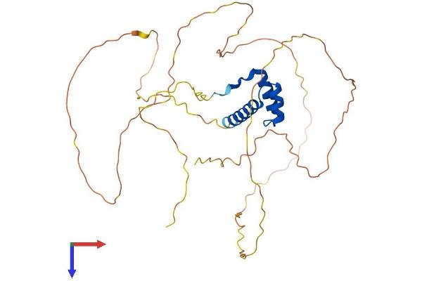 OTX1 Protein (AA 1-354) (His tag)
