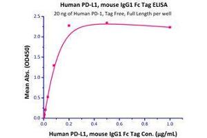 Immobilized Human PD-1, Tag Free, Full Length  with a linear range of 2-80 ng/mL. (PD-L1 Protein (AA 19-238) (Fc Tag))
