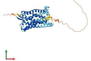 Protein Structure (PS) image for Leukotriene B4 Receptor (LTB4R) (AA 1-352) protein (His tag) (ABIN7549211)