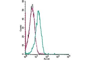 Cell surface detection of CaVα2δ2 by indirect flow cytometry in live intact human Jurkat T-cell leukemia cells:  + goat-anti-rabbit-FITC.