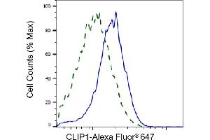 Validation of CLIP1 knockdown using flow cytometry.