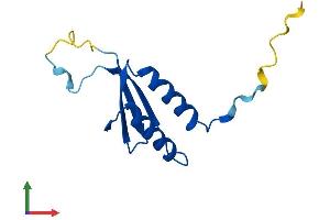 AlphaFold protein structure predicition of Mouse Recombinant Srp14 Protein, UniprotID P16254
