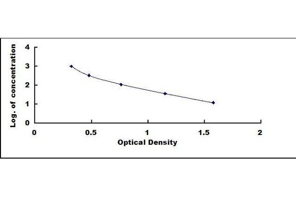 beta Endorphin ELISA Kit