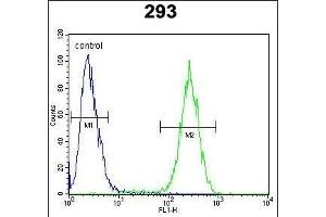 ENSA Antibody (Center) (ABIN654413 and ABIN2844151) flow cytometric analysis of 293 cells (right histogram) compared to a negative control cell (left histogram). (Ensa Antikörper  (AA 39-66))