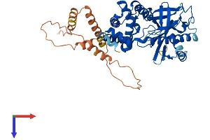 SMCR7L Protein (AA 1-463) (His tag)