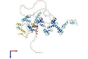 Protein Structure (PS) image for Zinc Finger Protein 778 (ZNF778) (AA 1-729) protein (His tag) (ABIN7545400)