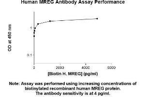 Image no. 1 for anti-Melanoregulin (MREG) (AA 1-214) antibody (ABIN5566795) (MREG Antikörper  (AA 1-214))
