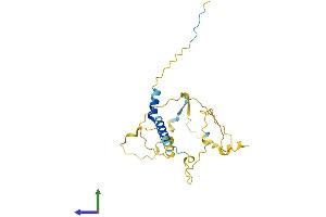 Protein Structure (PS) image for Tumor Protein P53 Inducible Nuclear Protein 2 (TP53INP2) (AA 1-220) protein (His tag) (ABIN7544105)