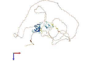 FUS Protein (AA 1-518) (His tag)