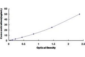 Typical standard curve (MAT1A ELISA Kit)