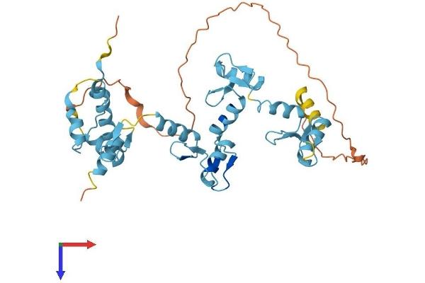 ZNF707 Protein (AA 1-371) (His tag)