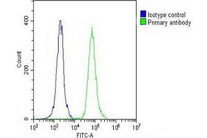 Overlay histogram showing THP-1 cells stained with (ABIN391674 and ABIN2841585) (green line). (CD31 Antikörper  (C-Term))