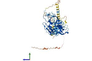 Protein Structure (PS) image for Transmembrane Protease, serine 5 (TMPRSS5) (AA 1-457) protein (His tag) (ABIN7544496)
