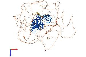 HIPK3 Protein (AA 1-1215) (His tag)