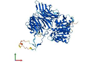 Protein Structure (PS) image for N-Acylaminoacyl-Peptide Hydrolase (APEH) (AA 1-732) protein (His tag) (ABIN7551973)