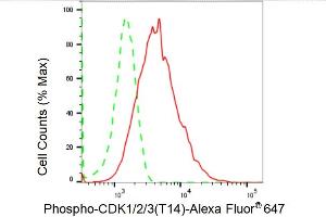 Flow cytometric analysis of Phospho-CDK1/2/3 (T14) expression in HepG2 cells using Phospho-CDK1/2/3 (T14) antibody (ABIN7797995), 1:2,000). (Rekombinanter CDK1/2/3 (pThr14) Antikörper)