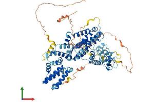 Protein Structure (PS) image for RAS Guanyl Releasing Protein 4 (RASGRP4) (AA 1-673) protein (His tag) (ABIN7558876)