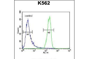 Flow Cytometry (FACS) image for anti-ATPase, Class I, Type 8A, Member 2 (ATP8A2) (AA 293-322), (N-Term) antibody (ABIN5535899)