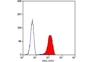 Staining of human peripheral blood granulocytes with MOUSE ANTI HUMAN CD62L:FITC (ABIN118761). (L-Selectin Antikörper  (FITC))