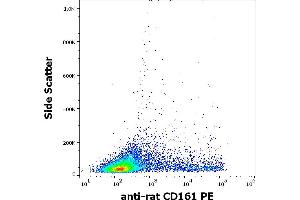 Flow cytometry surface staining pattern of rat splenocyte suspension stained using anti-rat CD161 (10/78) PE antibody (concentration in sample 1 μg/mL). (CD161 Antikörper  (PE))