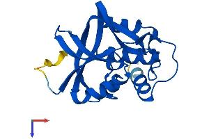 GGCT Protein (AA 1-188) (His tag)