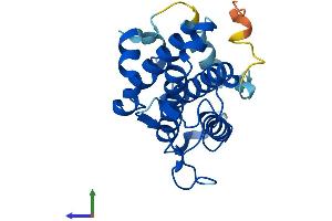 Protein Structure (PS) image for MOB1, Mps One Binder Kinase Activator-Like 2C (MOBKL2C) (AA 1-216) protein (His tag) (ABIN7549499)
