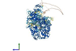 AlphaFold protein structure predicition of Mouse Recombinant Samd9l Protein, UniprotID Q69Z37