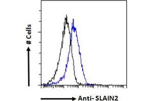 ABIN570761 Flow cytometric analysis of paraformaldehyde fixed NIH3T3 cells (blue line), permeabilized with 0. (SLAIN2 Antikörper  (Internal Region))