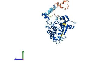 AlphaFold protein structure predicition of Mouse Recombinant Dtwd2 Protein, UniprotID Q9D0U1