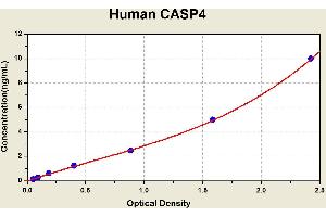 Caspase 4, Apoptosis-Related Cysteine Peptidase (CASP4) ELISA Kit