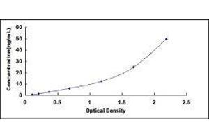 ELISA image for Protein tyrosine Phosphatase, Receptor Type, S (PTPRS) ELISA Kit (ABIN418578)