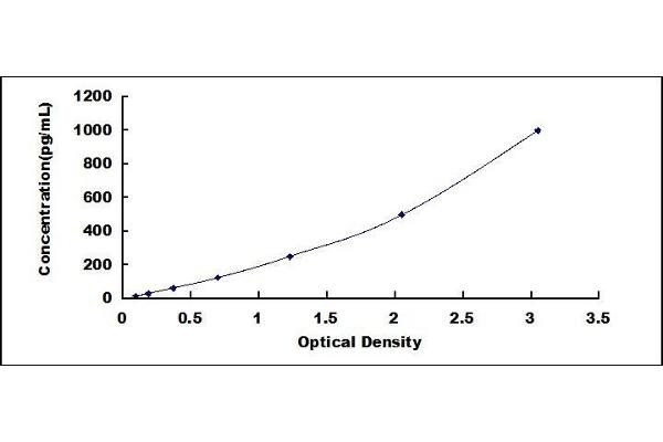 TRAIL ELISA Kit