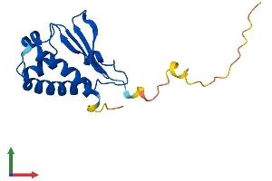 Protein Structure (PS) image for BTG Family, Member 2 (BTG2) (AA 1-158) protein (His tag) (ABIN7556879)