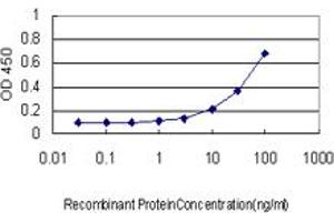 Detection limit for recombinant GST tagged EXOSC8 is approximately 3ng/ml as a capture antibody. (EXOSC8 Antikörper  (AA 1-276))