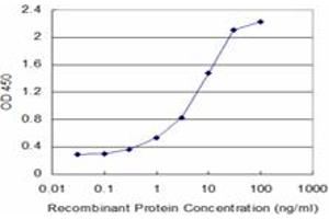 Detection limit for recombinant GST tagged VASN is approximately 0. (Vasn Antikörper  (AA 298-349))