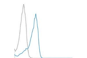 Flow Cytometry (FACS) image for anti-VEGF Receptor 2 (VEGFR2) antibody (PerCP-Cy5.5) (ABIN7278486)