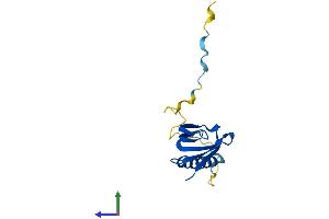 AlphaFold protein structure predicition of Mouse Recombinant Gemin7 Protein, UniprotID Q9CWY4