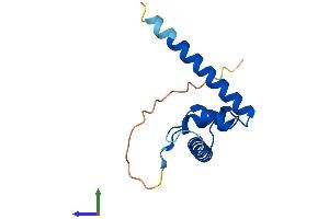 Protein Structure (PS) image for TAF13 RNA Polymerase II, TATA Box Binding Protein (TBP)-Associated Factor, 18kDa (TAF13) (AA 1-124) protein (His tag) (ABIN7556576)