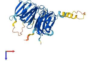 AlphaFold protein structure predicition of Human Recombinant RCCD1 Protein, UniprotID A6NED2