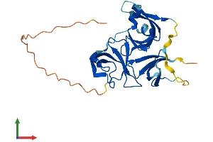 AlphaFold protein structure predicition of Human Recombinant SPIN4 Protein, UniprotID Q56A73