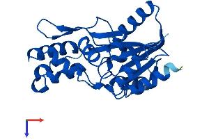PHOSPHO2 Protein (AA 1-241) (His tag)