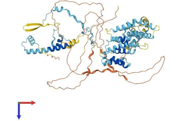TAF6 Protein (AA 1-677) (His tag)
