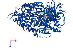 Aconitase 1 Protein (ACO1) (AA 1-889) (His tag)